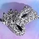 thumbnail image 5 of EeaseMX 1 par de adorables pantuflas polares, botas con garras de animal, zapatos de cosplay, pantuflas antideslizantes de invierno para casa o interior., 5 of 7