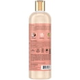 thumbnail image 2 of Champú SheaMoisture Coco e Hibisco Curl & Shine 473 ml, 2 of 7