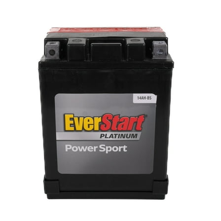 EverStart EBX14AH-BS AGM Dry PowerSport 12 Volt Battery