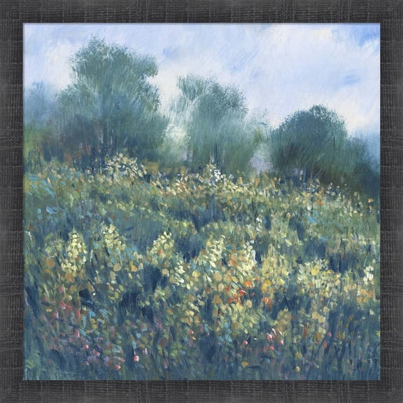 Great Art Now Meadow Wildflowers I by Timothy O'Toole, Framed Wall Art, 17.5W x 17.5H