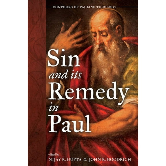 Contours of Pauline Theology: Sin and Its Remedy in Paul (Paperback)