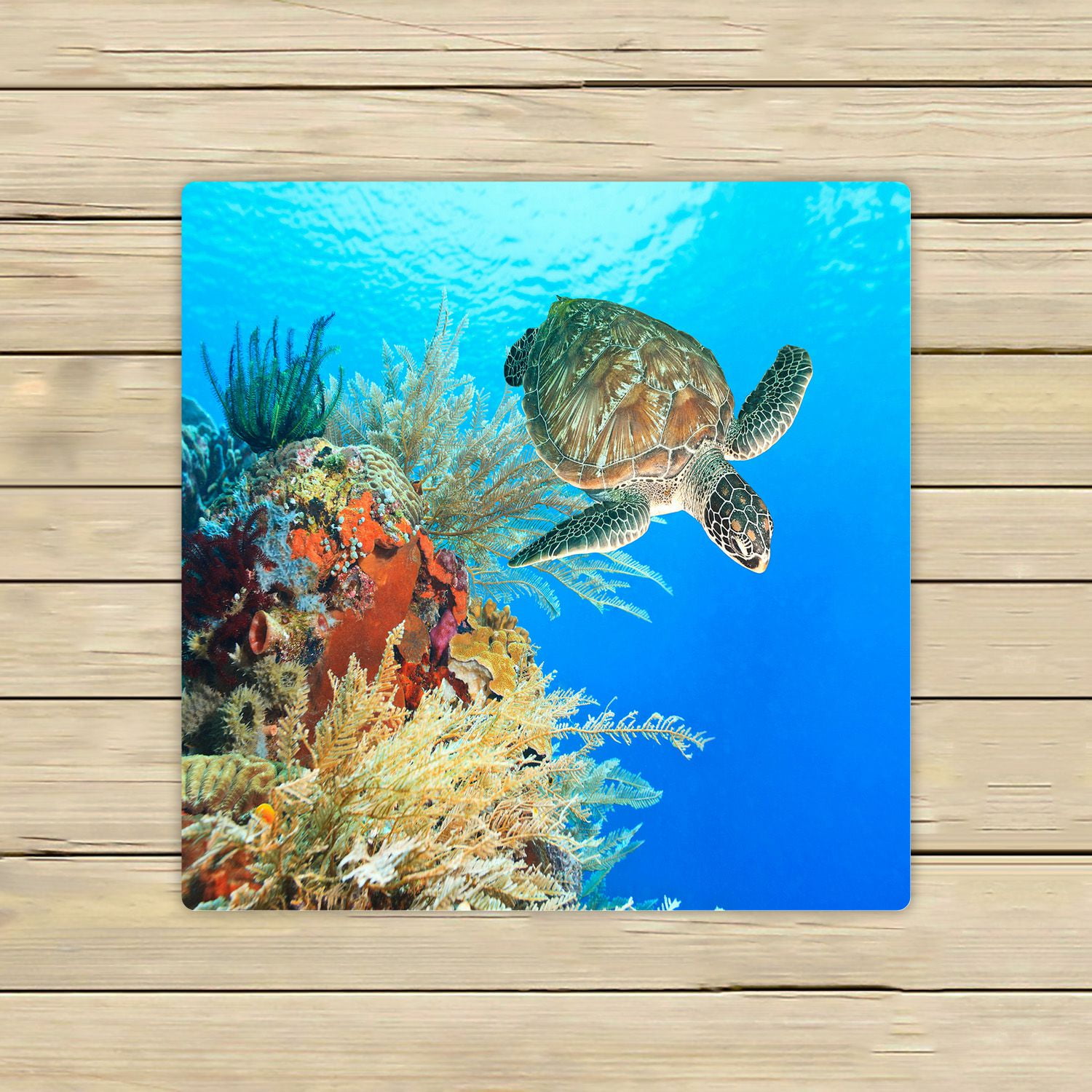 PHFZK Ocean Towel, Underwater World Sea Turtle and Coral Reef Hand