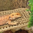 thumbnail image 1 of SHINYPASING 1Pcs Natural Grass Fibers Lizard Hammock 75.00X17.00X2.00in Light Brown, 1 of 5