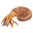 thumbnail image 2 of Ocean Animals Toys, Educational Relaxing Small Compact Long Lasting Animal Toys  For Classroom For Home For School, 2 of 8