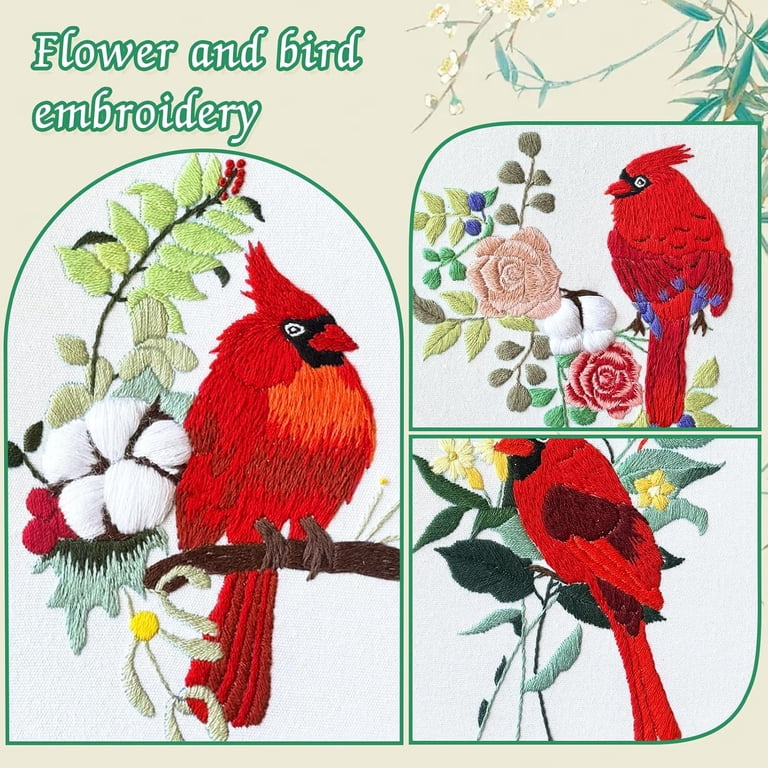 VETPW Embroidery Kit for Beginners, Red Birds Stamped Set photo 7