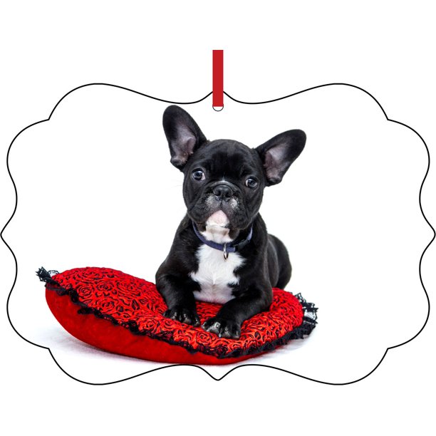 French Bulldog Puppy in a Santa Claus Hat Elegant