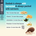 thumbnail image 4 of UNROOTED Good Energy Shot (12 Pack, Mighty Ginger) - Immune System and Natural Energy Booster - 12 x 60ml Bottles - Ginger, Turmeric, Chilli & Baobab, 4 of 5