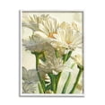 thumbnail image 5 of Stupell Industries Study of White Daisy Petals Spring Florals, 16 x 20,Design by Ziwei Li, 5 of 5