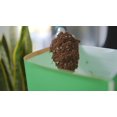thumbnail image 2 of Miracle-Gro Indoor Potting Soil Mix 17.6L, 2 of 6