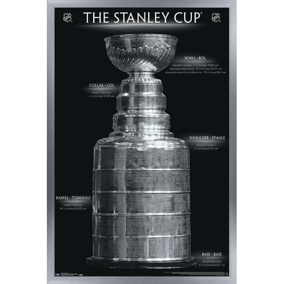 NHL League - Stanley Cup 16 Wall Poster, 14.725" x 22.375", Framed