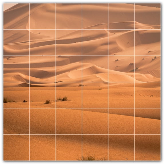Picture-Tiles.com: Desert Ceramic Tile Wall Mural WAL500482-66S. 25.5"W x 25.5"H using (36) 4.25" x 4.25" Ceramic Tiles-Satin Finish