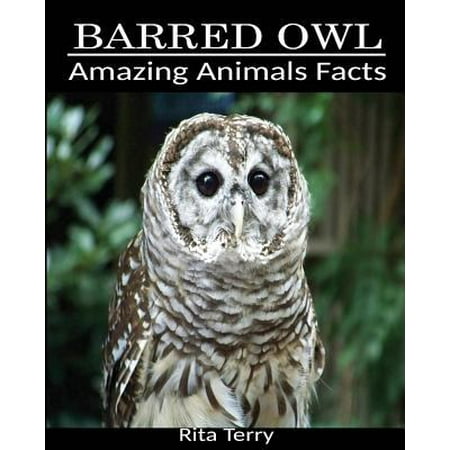 top 28 barred owl adaptations mind boggling facts top 28 barred owl adaptations mind boggling facts