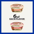 thumbnail image 3 of INABA Churu Meal in Gravy Adult Wet Dog Food, 9.5 oz cup, 12-count, Chicken Variety, 3 of 11