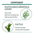 thumbnail image 5 of West&month side-leaf herbal hair care liquid gently nourishes and moisturizes hair, making it light and lustrous - west&month side-leaf herbal hair li, 5 of 5