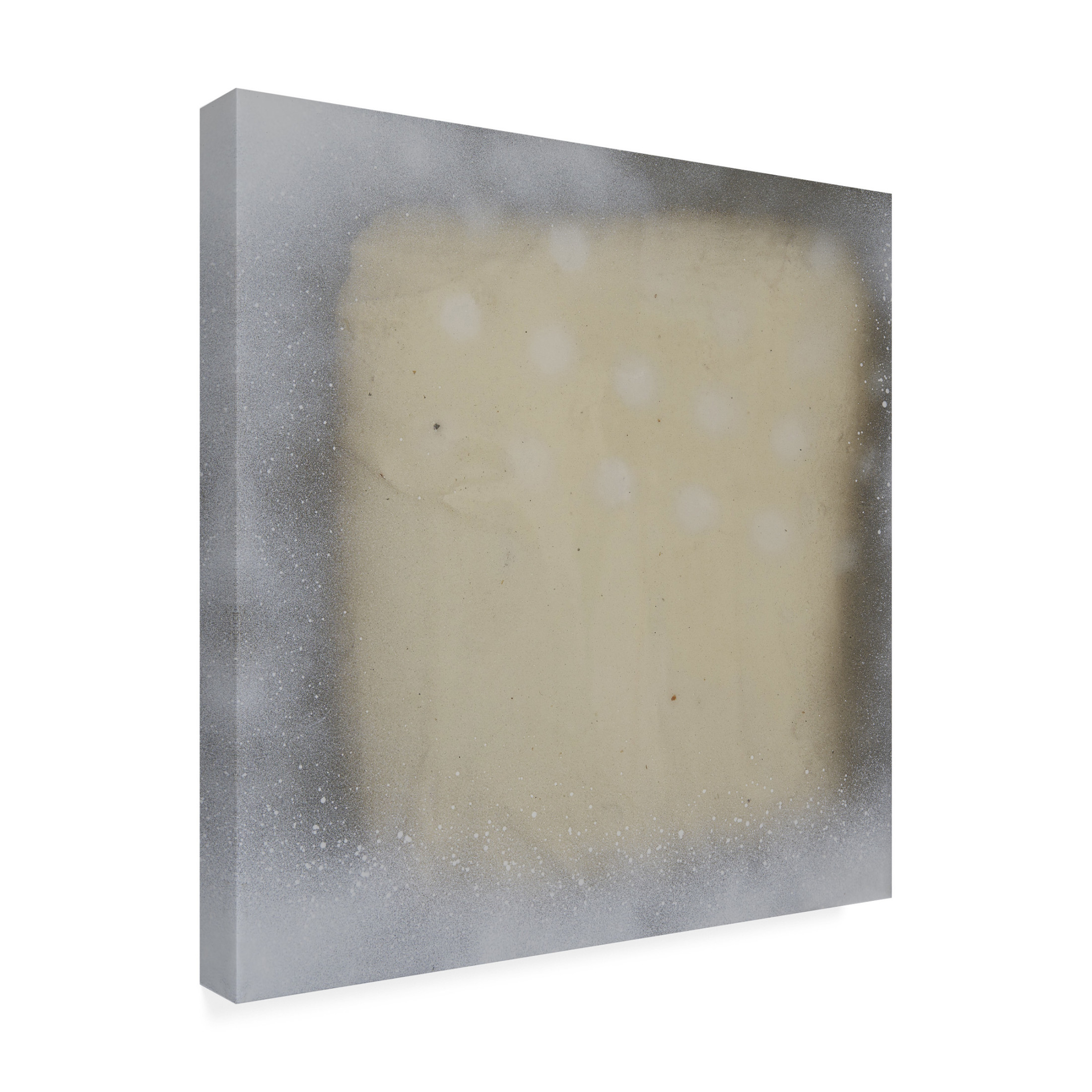Trademark Fine Art Erin McGee Ferrell  Polka Squares IV Canvas Wall Art