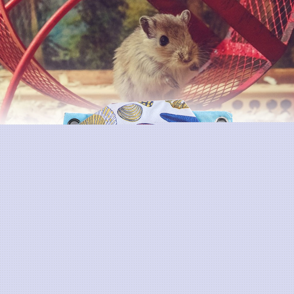 thumbnail image 4 of Double-layer Pet Hammock, Squirrel Hanging Bed Pet Hammocks Pet Hammock, For Guinea Pig For Hamster Type B, 4 of 8