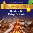 thumbnail image 2 of Air Wick Plug in Scented Oil 5 Refills, Bonfire and Crisp Fall Air, Essential Oils, Air Freshener Fall Scent, Fall décor - 2 Pack, 2 of 3
