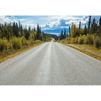 Komar Atlin Road Wall Mural