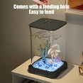 thumbnail image 6 of Blaxill Clearance Mini Aquarium Self-Cleaning Desktop Ecology Aquarium, LED Lighting Cubes Shaped Aquarium, Starter Kit for Creatives, 6 of 6