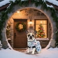 thumbnail image 3 of Tricot pour Animaux de Compagnie Vacances Festives Doux Chaud Tenue d'Hiver Saisonnière pour Chats et Chiots, 3 of 5