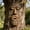 C, variant on Tree Faces Decor Outdoor, Large Whimsical Old Man Tree Hugger Statues, Resin Tree Art for Garden Yard Patio, Funny Tree Peeker Sculptures for Halloween Easter (B)