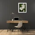 thumbnail image 3 of Head, Danny 12x14 White Modern Wood Framed Museum Art Print Titled - Plumeria II, 3 of 4