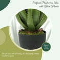 thumbnail image 4 of Artificial Aloe Fake Plant with Black Planter for Indoor Outdoor Decor, 4 of 6