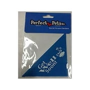 Perfect Petzzz - Special Occasion Bandana - Get Well Soon