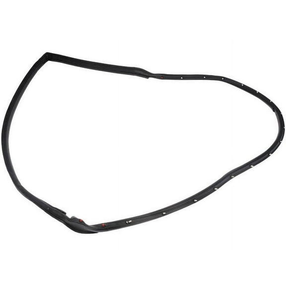 Front Left Door Seal - Compatible with 1997 - 2006 Jeep Wrangler 1998 1999 2000 2001 2002 2003 2004 2005