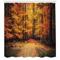 thumbnail image 3 of Ambesonne Autumn Shower Curtain, Vivid Leaf Plant Eco, 69"Wx75"L, Orange Brown, 3 of 3