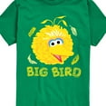 thumbnail image 3 of Sesame Street - Big Bird Face - Toddler and Youth Short Sleeve Graphic T-Shirt, 3 of 5