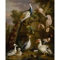 thumbnail image 2 of Jakob Bogdány 20x24 Black Ornate Framed Double Matted Museum Art Print Titled: An Assembly of Birds in a Parkland Landscape, 2 of 5