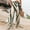 002 Brown, variant on Oplxuo Womens Elastic High Waisted Palazzo Pants Casual Wide Leg Long Lounge Pant Trousers with Pocket