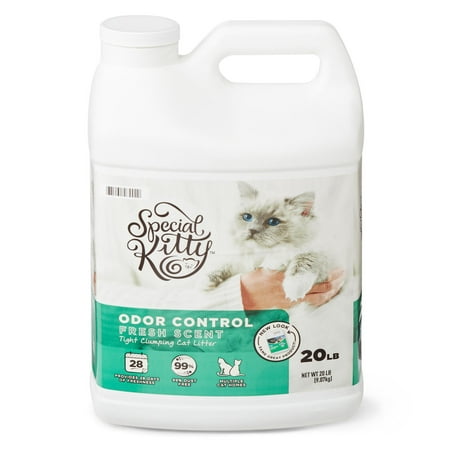 Special Kitty Scoopable Tight Clumping Cat Litter, Fresh Scent, 20 (Best Kitten Litter Brand)