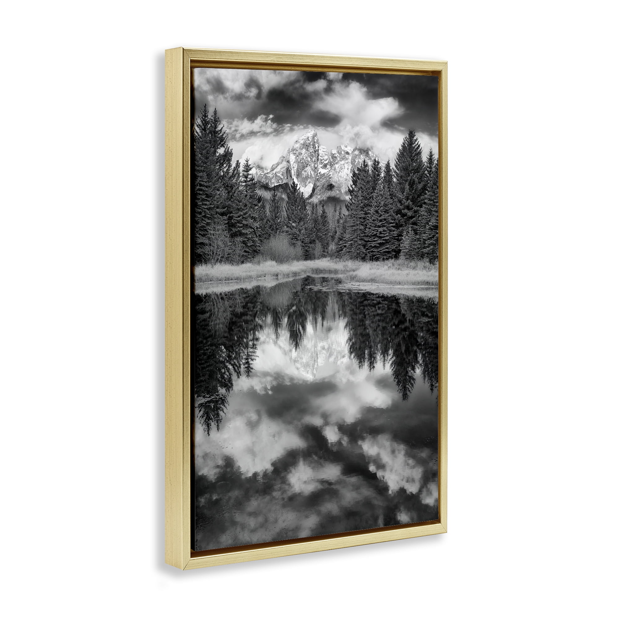 Stupell Industries Black & White Forest Reflection Landscape & Nature Photography Gold Floater Framed Canvas Art Print Wall Art, 21 x 31