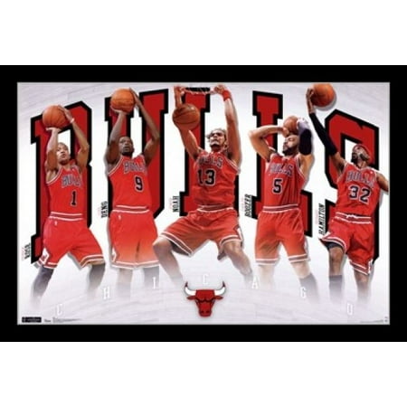 - Chicago Bulls - Team 2011 Poster Print