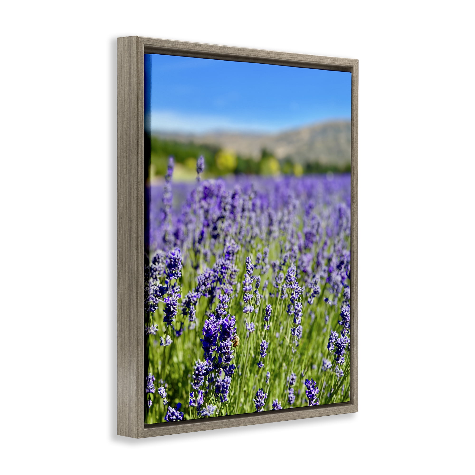 Stupell Industries Lavender in the Wind Landscape Photography Brown Floater Framed Art Print Wall Art, 25 x 31