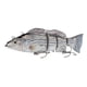 thumbnail image 1 of Señuelo De Pesca Electrónico, Anzuelos Fuertes, Señuelo De Pesca De Natación Robótico Recargable Por USB Con Luz LED Para Agua Dulce, 1 of 7