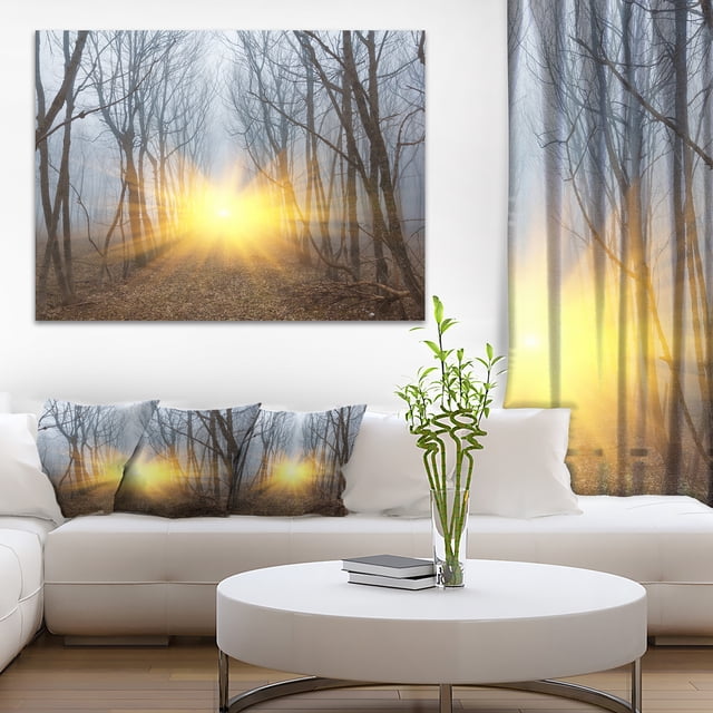 Rayons de Soleil Jaunes dans la Forêt Brumeuse