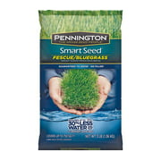 Pennington Seed 100526630 Seed And Fescue-Bluegrass Mix-3#