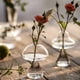thumbnail image 2 of Jarrón de vidrio en forma de seta para plantas hidropónicas, artesanías de vidrio creativas, decoración para el hogar, sala de estar, jarrón de vidrio, macetas de flores para plantas, 2 of 4