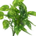 thumbnail image 3 of Nestingho Decorativas Artificiales Para Acuarios Y Hábitat De Reptiles Resistentes, 3 of 8
