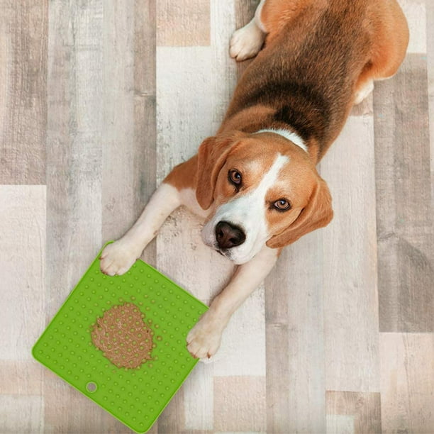 Fun feeder mat 2025