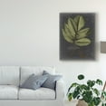 thumbnail image 3 of Trademark Fine Art 'Foliage Dramatique III' Canvas Art by Vision Studio, 3 of 4