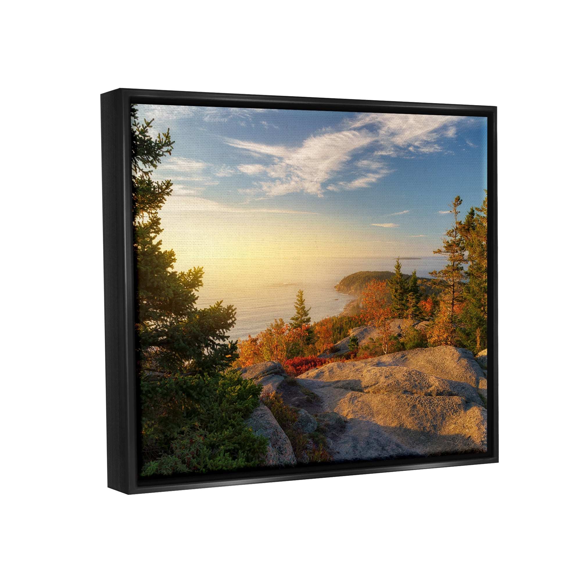 Stupell Coastal Cliffs Rocky Ocean Landscape Photography Black Floater Framed Art Print Wall Art