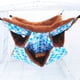 thumbnail image 4 of Hamaca con jaula para animales pequeños para mascotas, hamaca suave y cálida, apta para gatitos, hurones, ardillas, ratas, hámster u otros animales pequeños, 4 of 5