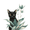 Black Cat Botanical, variant on UXIEQU Sad Woman Sketch Canvas Wall Print 15.75x11.81 Inches