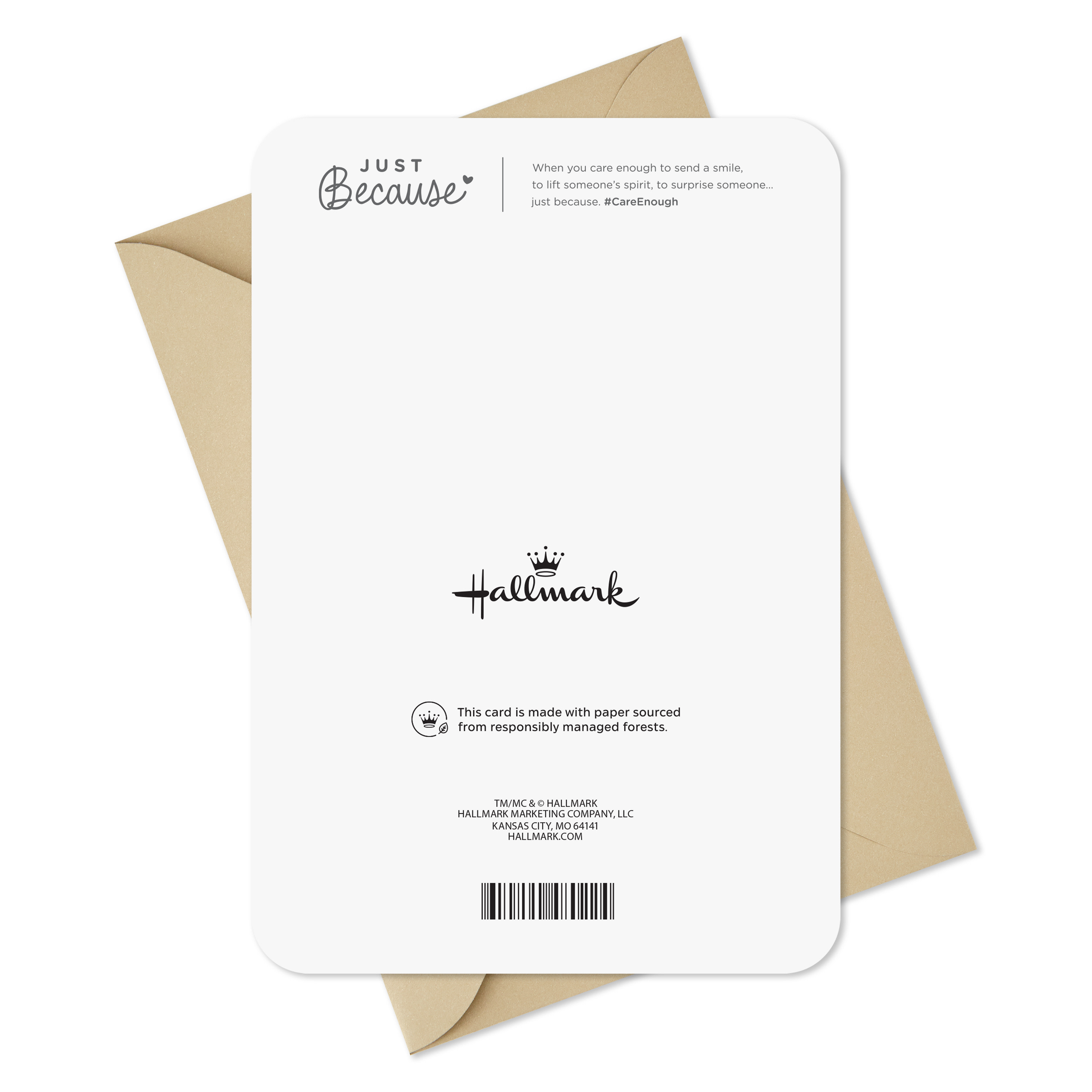 Hallmark Just Because Thinking of You Card (Saying Hi)