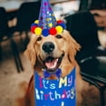 thumbnail image 4 of Pet Party Decoration Set Dog Birthday Triangle Scarf Hat Bow Tie Set, 4 of 6