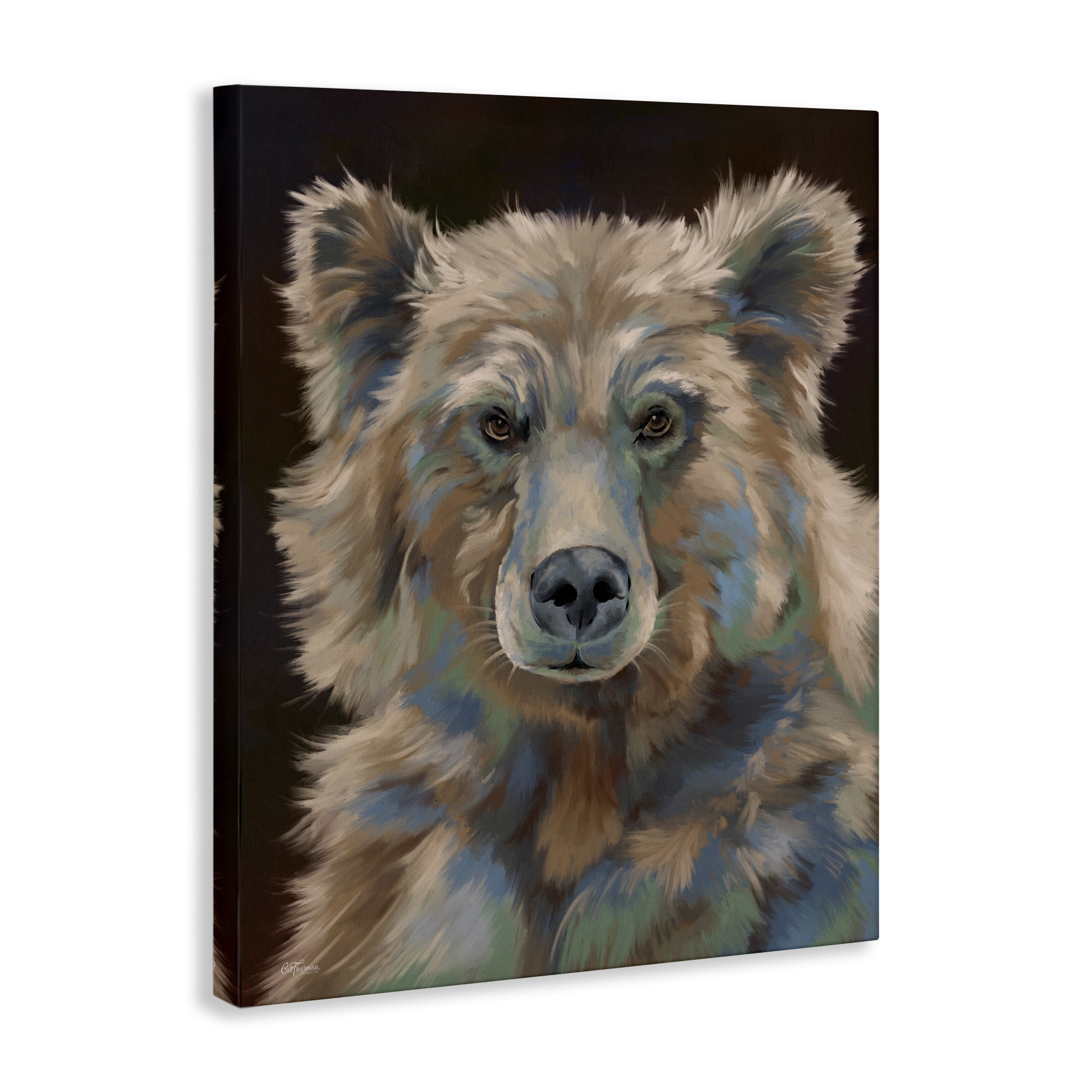 Stupell Industries Fluffy Bear Portrait Animals & Insects Painting Gallery Wrapped Canvas Art Print Wall Art, 24 x 30
